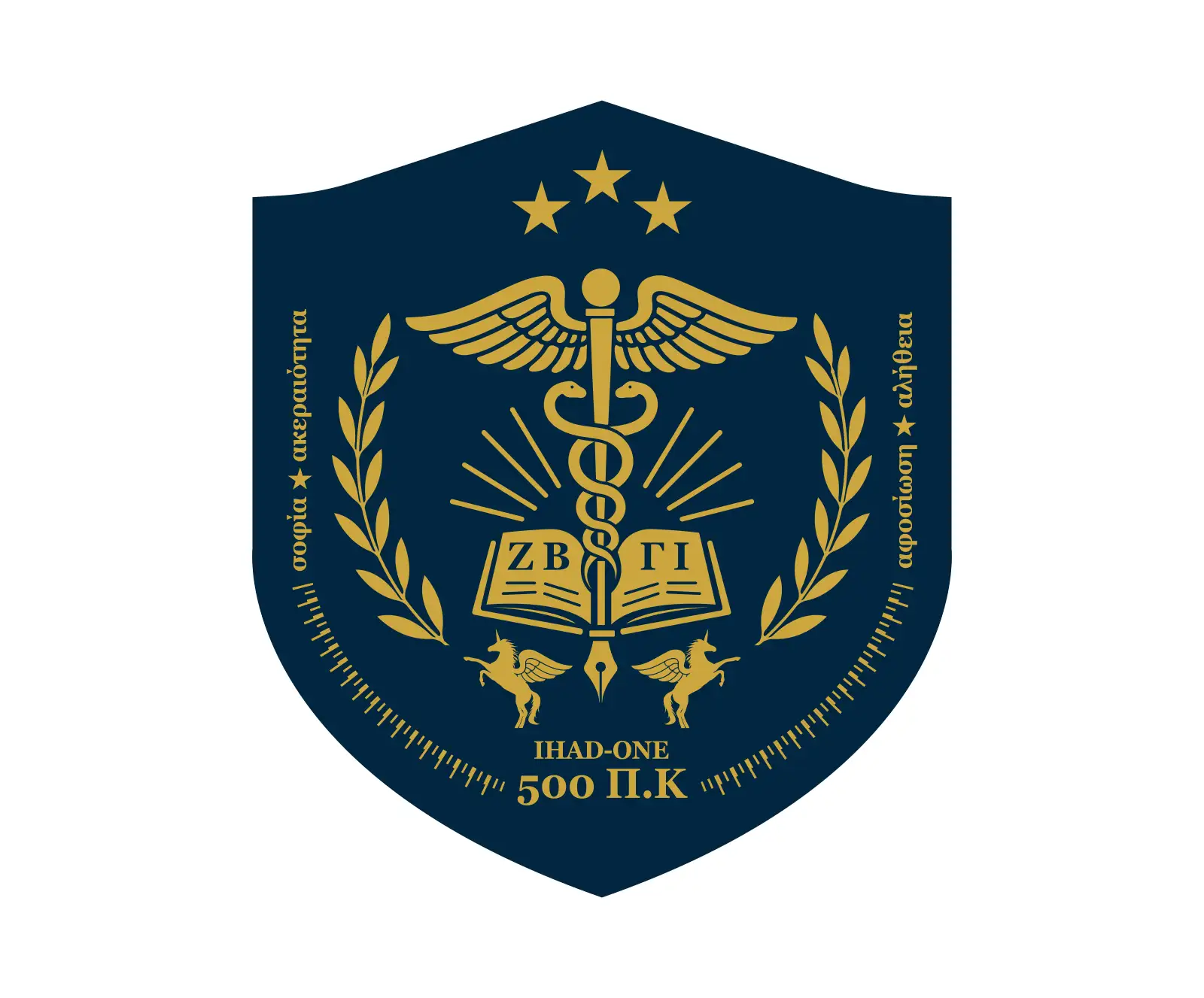 Healthcare Organisation